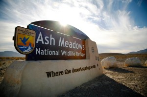 ashmeadownssignTravelNevada