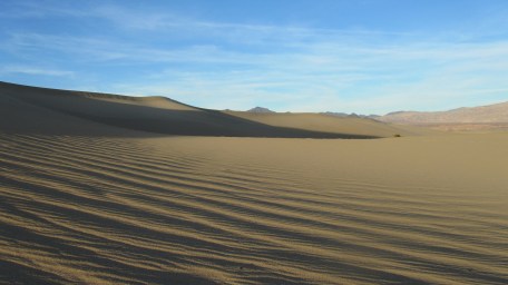 mesquiteflatdunesBrentHellickson