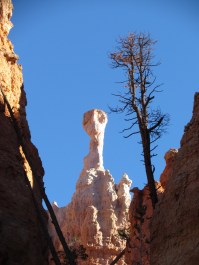 We called this one "ET Rock"