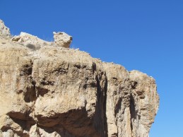 Simba on Pride Rock, perhaps?