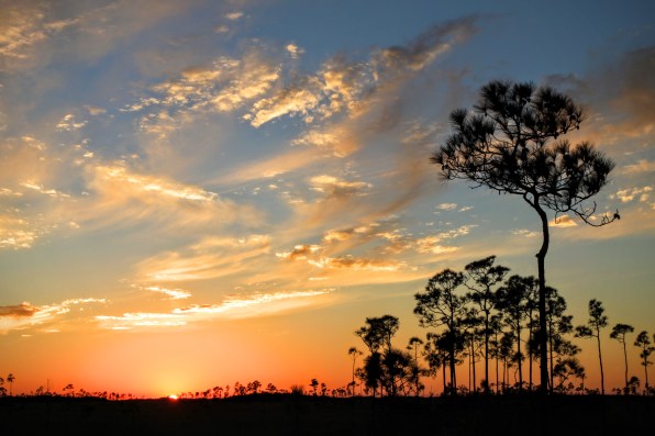 evergladessunrise