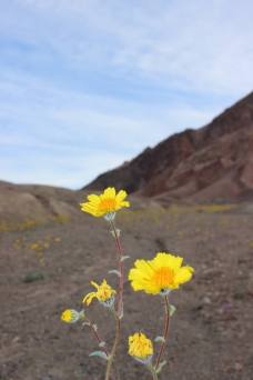 Death Valley National Park | Photo: Kim Howard