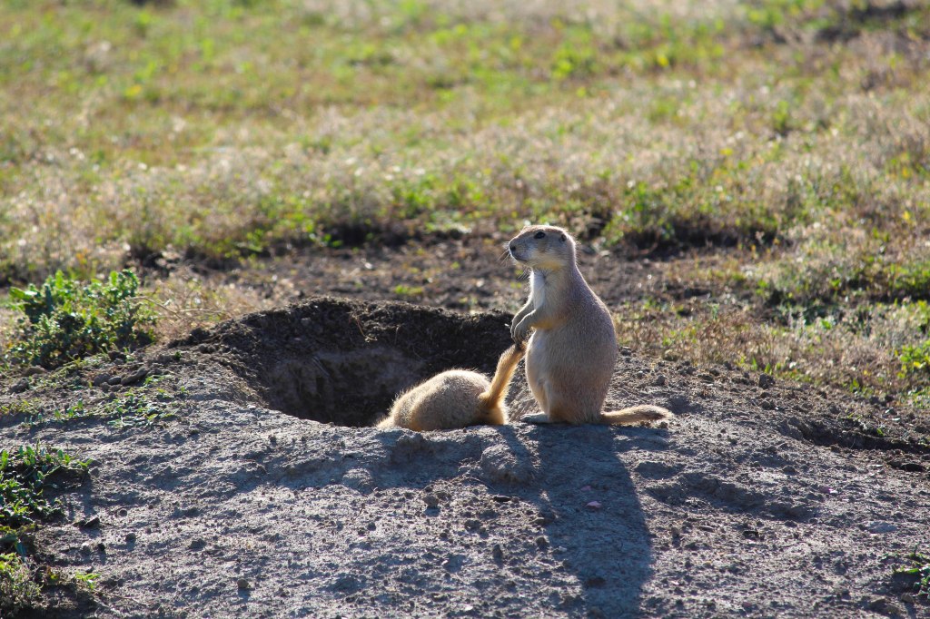 Photo: Callie Klinkmueller