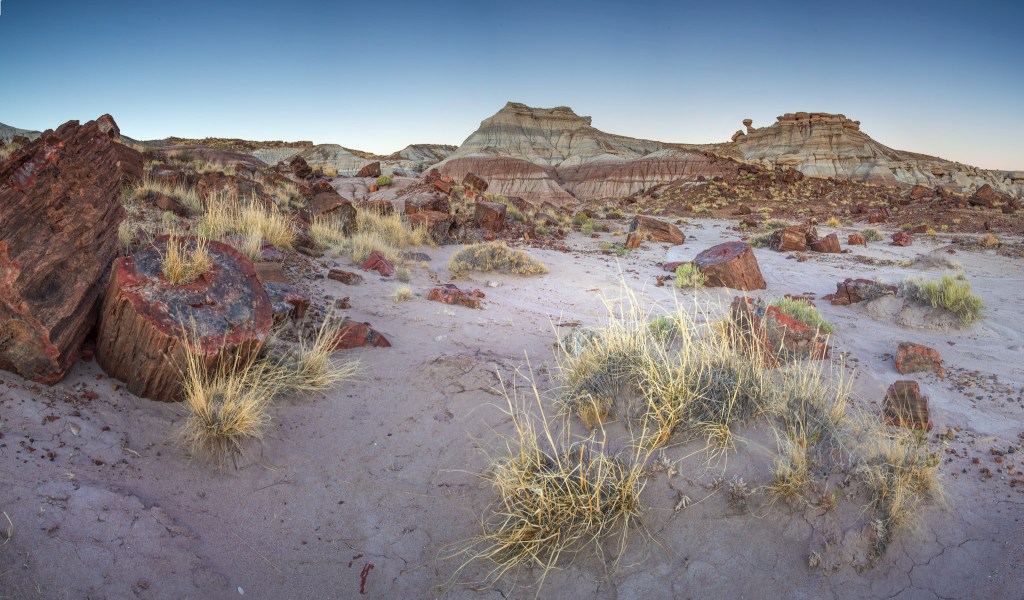 Petrified Forest National Park | Photo: Andrew Kearns/CC by 2.0