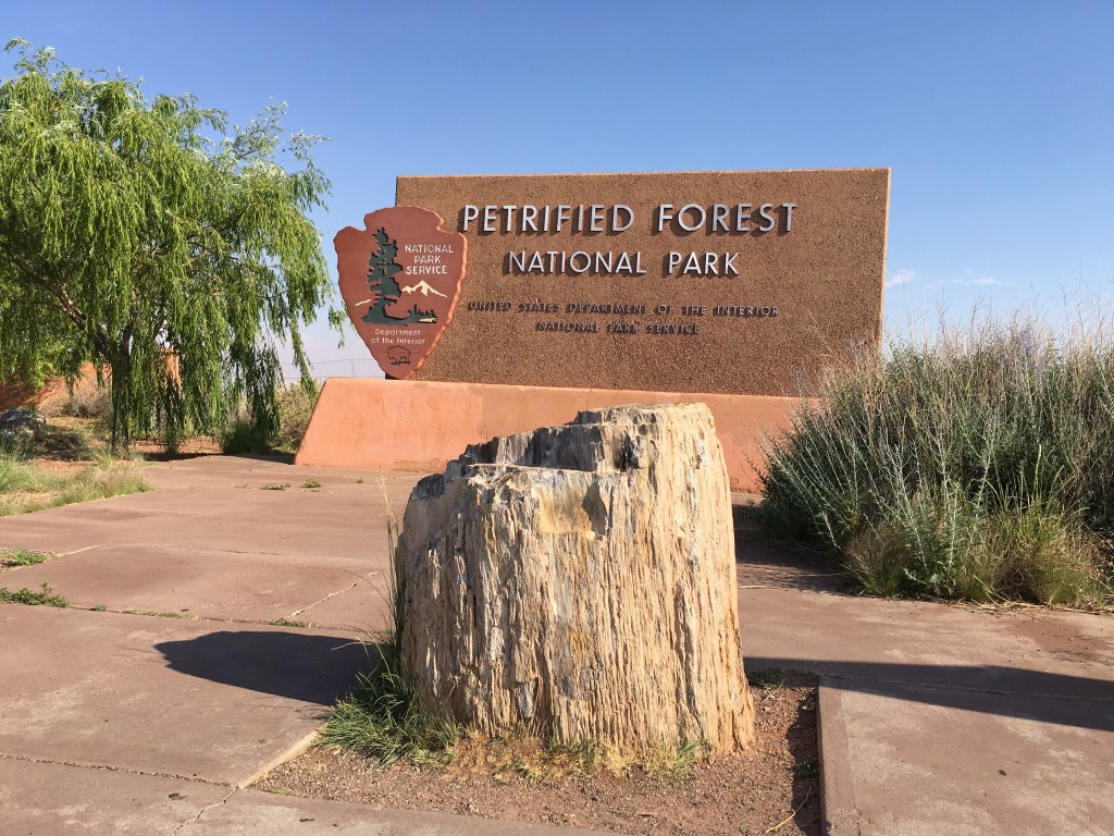 Petrified Forest National Park | Photo: Tom Tash/Chimani