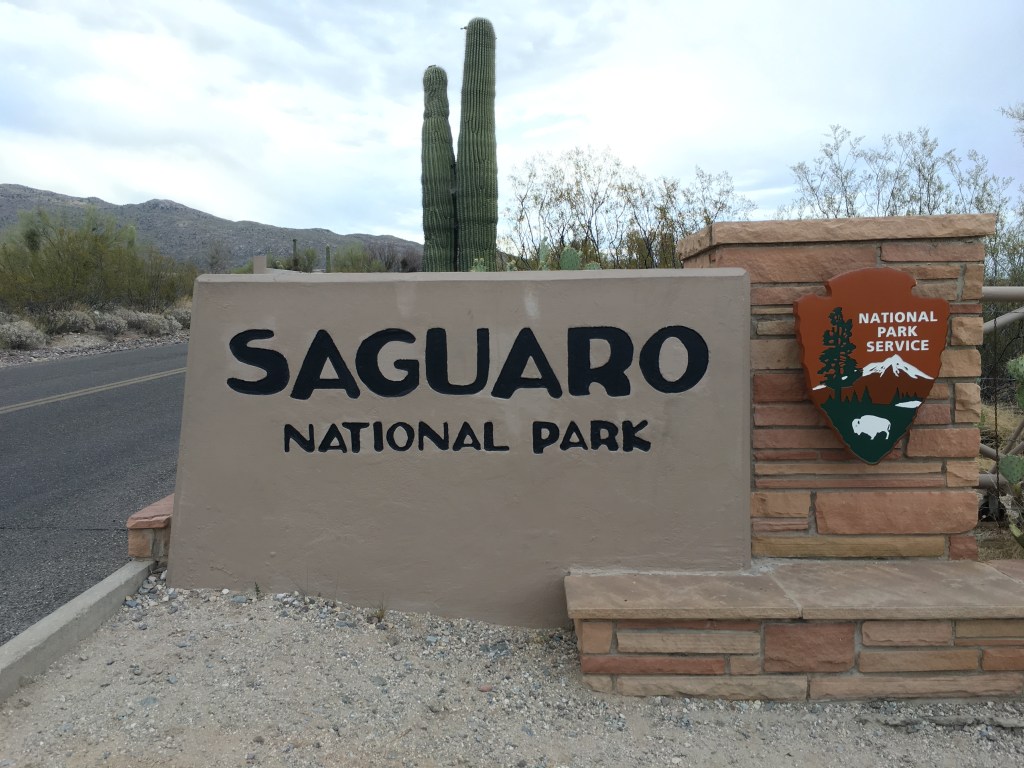 Saguaro National Park / Photo: Tom Tash - Chimani