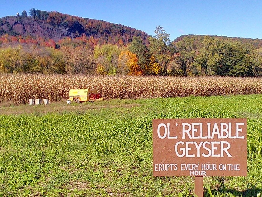 Photo: Johanna Stacy