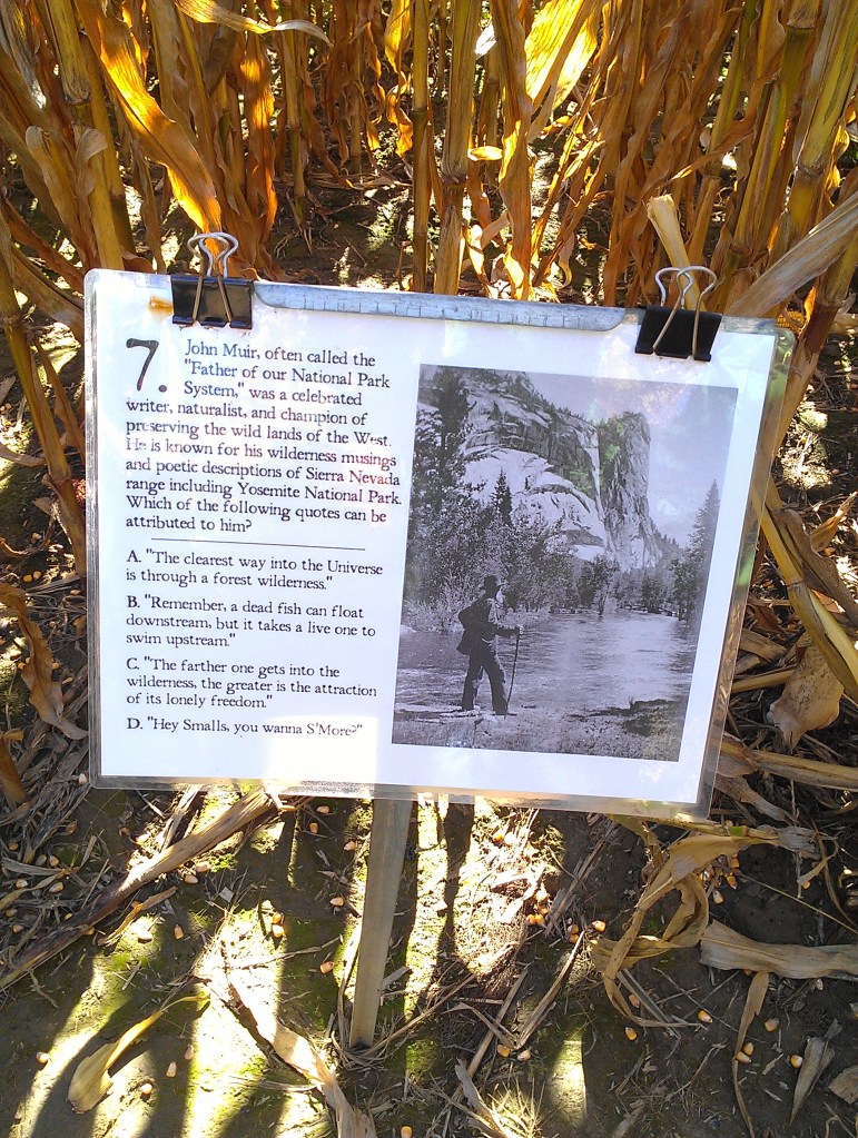 Photo: Johanna Stacy