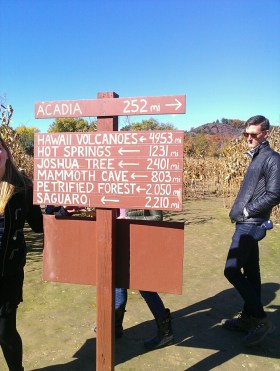 Photo: Johanna Stacy