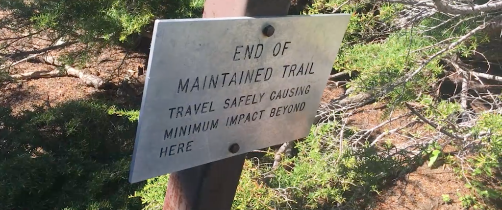 Mount Rainier National Park | Photo: Caroline Meleedy