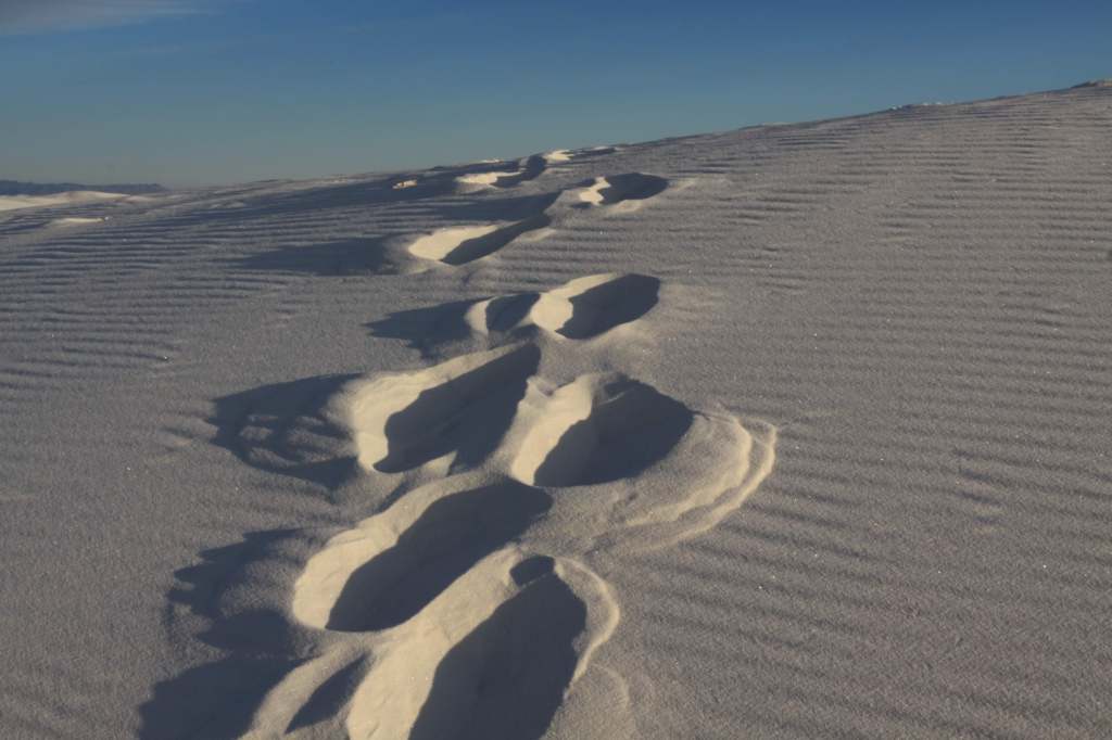White Sands National Monument | Photo: Kerry Gallivan/Chimani, Inc.