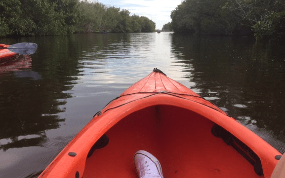 Flamingo Station Canal
