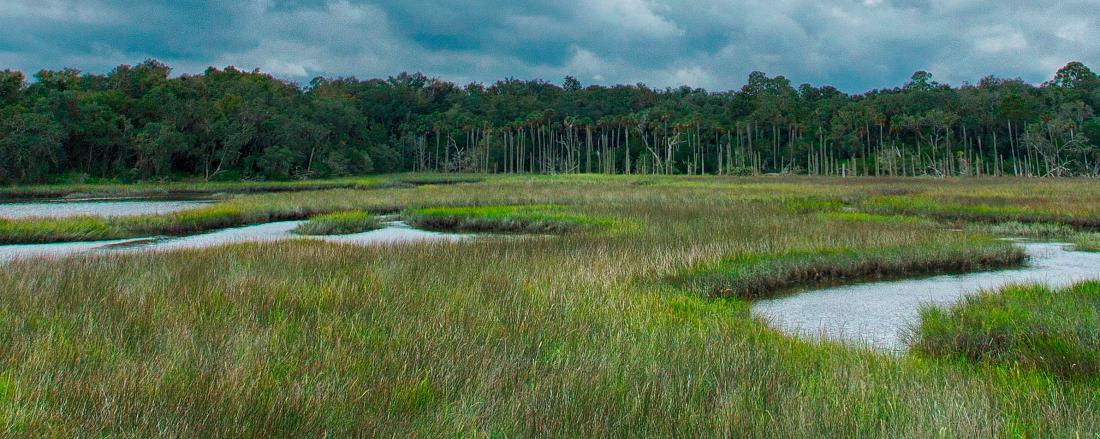 67AFF71F-1DD8-B71B-0B6E5D25D78C2D49