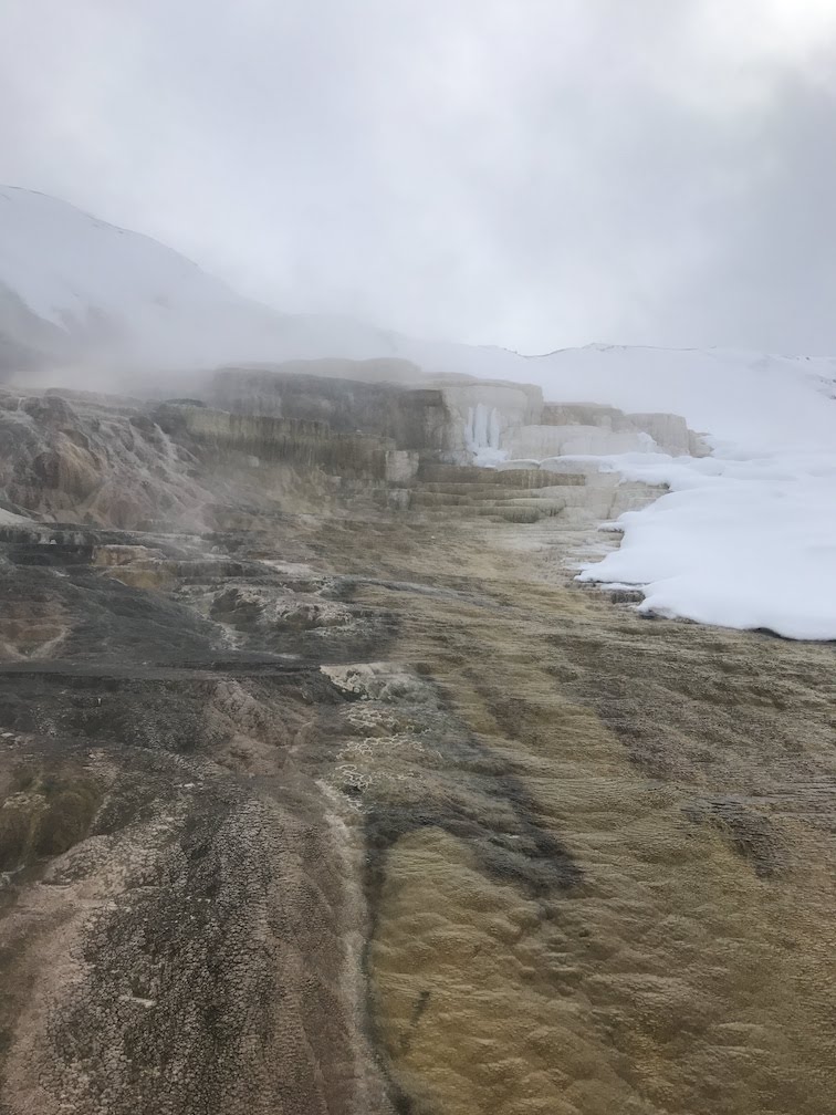 Mammoth Hot Springs