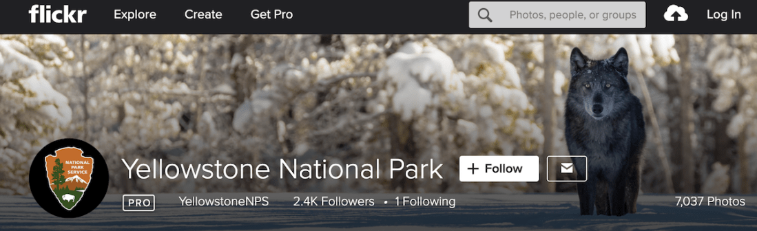 Screen Shot 2020-03-25 at 2.38.01 PM